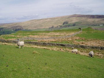 Roman fort